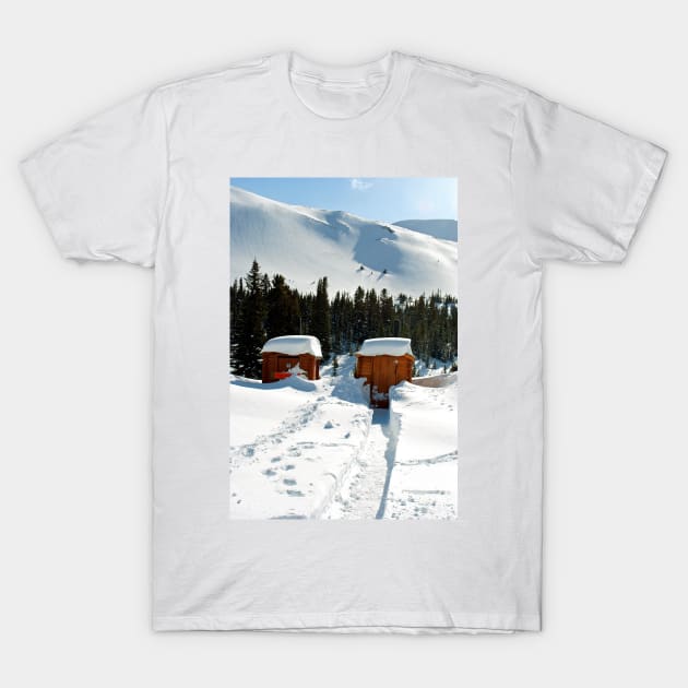 Canadian Rocky Mountains Icefields Parkway Canada T-Shirt by AndyEvansPhotos
